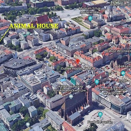 Animal House - StayinBreslau Exterior foto